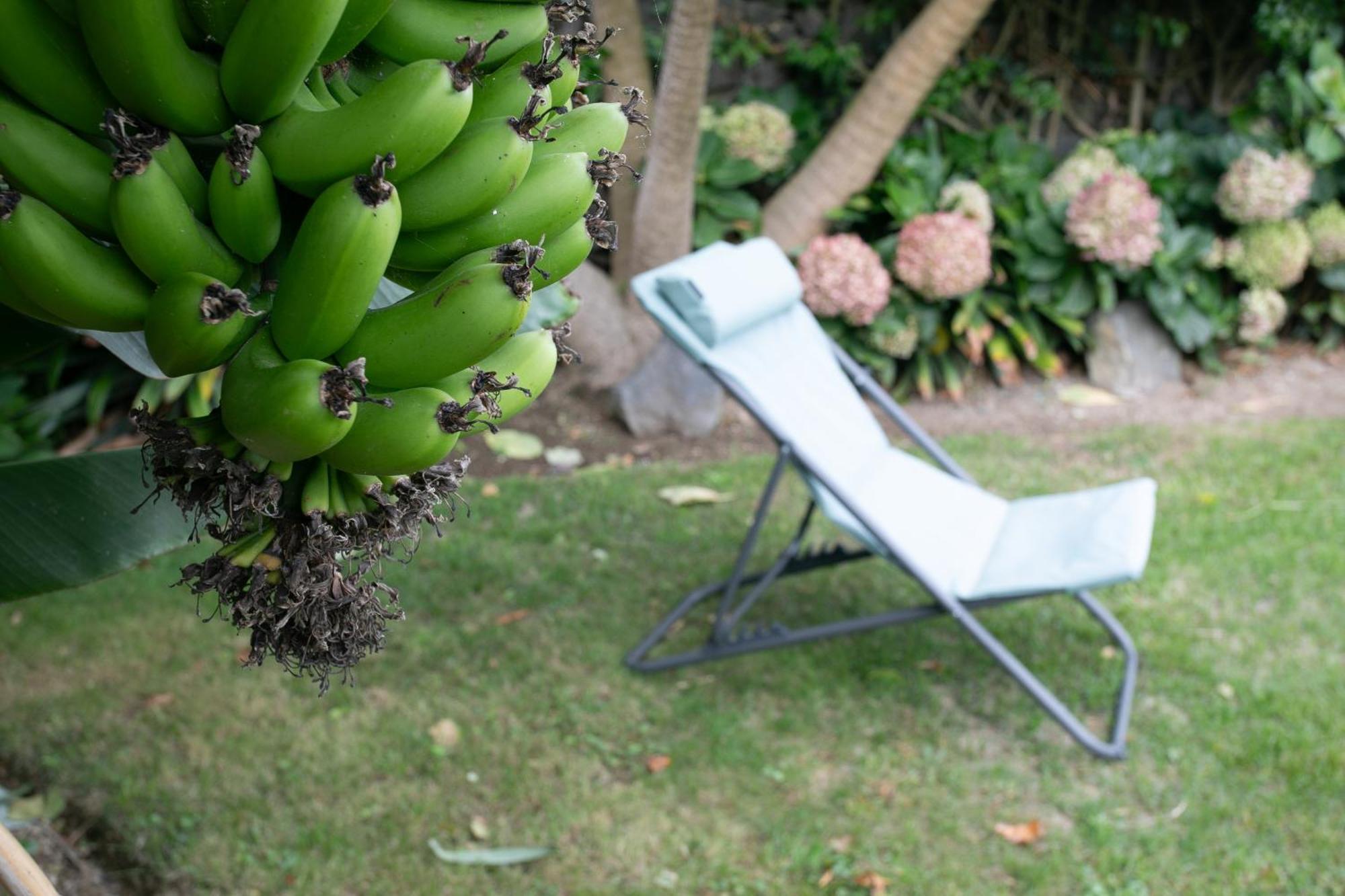 Maria'S Haven Villa Santo Antonio  Екстериор снимка